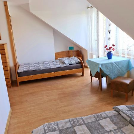 U Ingi Szypliszki Quarto foto